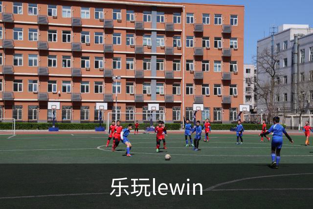 乐玩lewin公司简介图片
